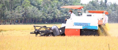 Dự báo việc xuất khẩu gạo sẽ gặp nhiều khó khăn do có sự cạnh tranh gay gắt.