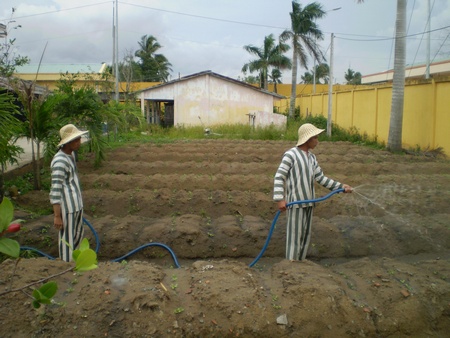 Phạm nhân cùng lao động, trồng rau cải thiện bếp ăn.