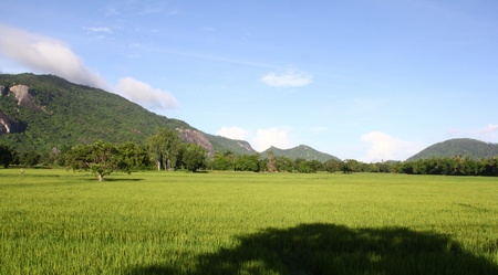 Dạng địa hình chuyển tiếp giữa núi và đồng bằng độc đáo ở Tri Tôn.