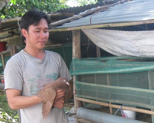 Anh Nguyễn Duy Thanh chí thú làm ăn góp phần phát triển kinh tế gia đình, địa phương.
