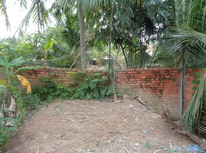 Một số hộ dân xây tường, trồng cây chắn ngang trên tuyến đê bao.