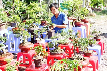 Bonsai được bày bán ven Quốc lộ 57, đoạn xã Vĩnh Thành, huyện Chợ Lách.