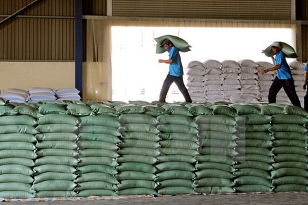 Gạo tại Doanh nghiệp tư Nhân Cỏ May, huyện Châu Thành. (Ảnh: An Hiếu/TTXVN)