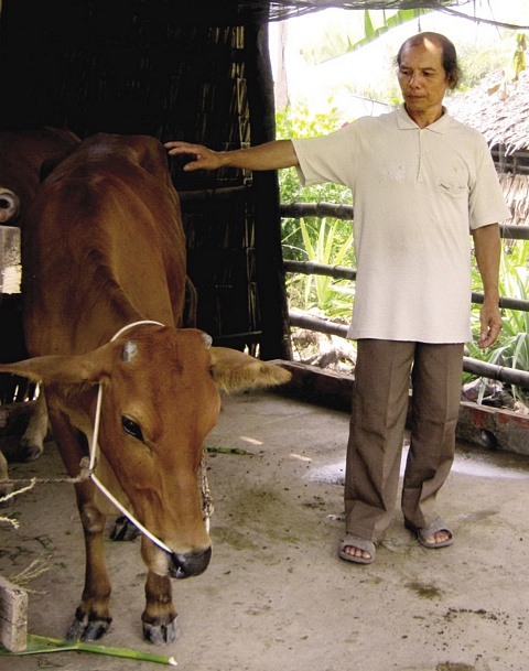 Anh Quang hy vọng con bò sẽ khởi đầu cơ nghiệp giúp gia đình anh thoát nghèo.