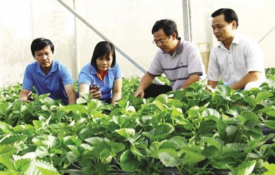  Hội Doanh nhân trẻ tham quan mô hình nông nghiệp công nghệ cao ở Lâm Đồng.