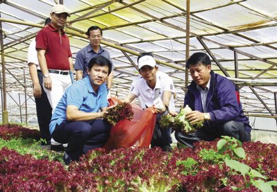  Tổ chức tham quan các doanh nghiệp sản xuất nông nghiệp ứng dụng công nghệ cao tại Lâm Đồng.