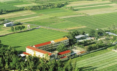  Nông thôn Bình Tân với các thửa ruộng rau đẹp như tranh. Ảnh: Dương Thu
