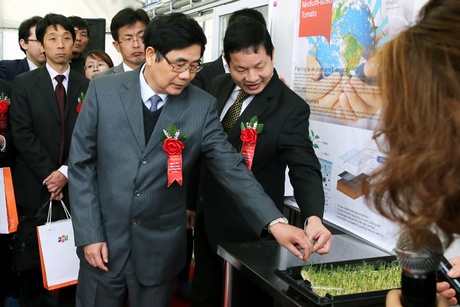 Bộ trưởng Bộ NN&PTNT Cao Đức Phát thăm mô hình trồng cà chua bằng công nghệ IMEC. Ảnh: VGP/Thành Chung.