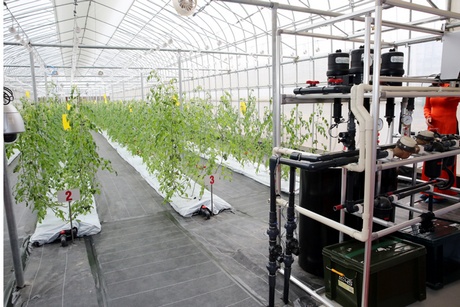 Hệ thống nhà máy trồng rau theo công nghệ AKISAI có khả năng tự điều chỉnh độ ẩm, nhiệt độ, ánh sáng theo tiêu chuẩn của cây trồng. Ảnh: VGP/Thành Chung.