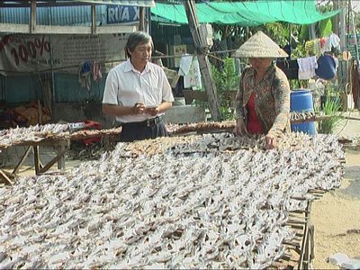 Nông dân xã Phú Thọ, huyện Tam Nông (Đồng Tháp) phơi khô cá lóc. Ảnh:T.T.T