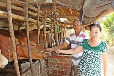 Từ nguồn “Quỹ hỗ trợ nông dân” đã giúp gia đình ông Dũng nâng cao thu nhập.