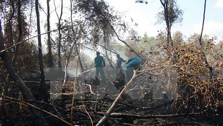 Lực lượng chức năng khẩn trương phun nước dập đám cháy rừng trong Vườn quốc gia U Minh Hạ. (Ảnh: Huỳnh Thế Anh/TTXVN)