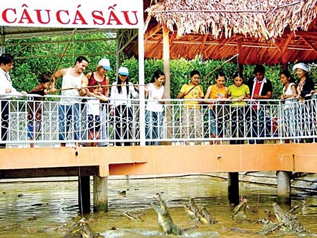 Du khách thích thú câu cá sấu ở Khu du lịch Vinh Sang (Vĩnh Long)