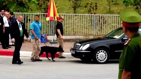 An ninh Mỹ dùng chó nghiệp vụ kiểm tra an ninh trước cổng phụ khách sạn Marriott - Ảnh: Quang Thế