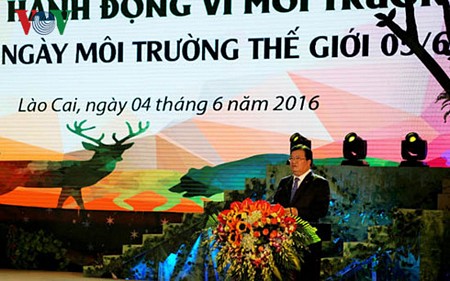 Phó Thủ tướng Trịnh Đình Dũng phát biểu chỉ đạo tại Lễ phát động.