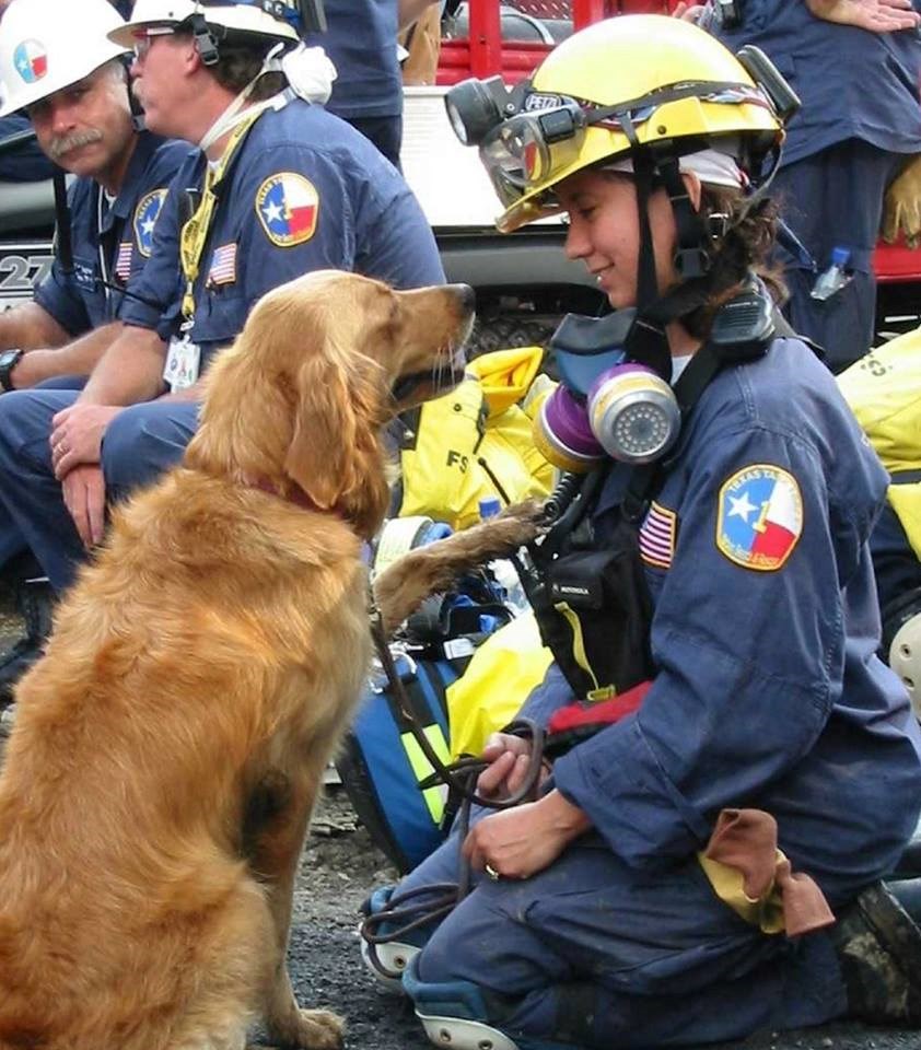Sau vụ 11/9, Bretagne đã có 10 ngày liên tục tham gia tìm kiếm người sống sót (Nguồn: CCTV)