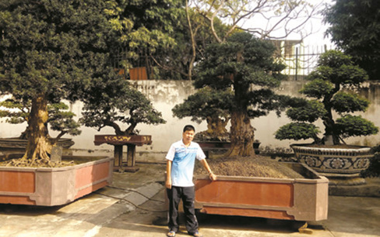 Một đại gia ở Việt Trì sở hữu hàng trăm loài cây cảnh trị giá cả triệu đô