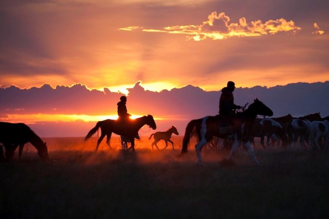 Người dân tại vùng Pavlodar, Kazakhstan đang dẫn ngựa đến một bãi quây súc vật và qua đêm tại đó để bảo vệ chúng khỏi sự 