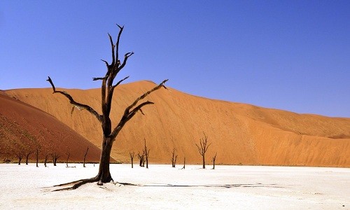 Vùng Deadvlei ở Namibia là một khu vực khô cằn những cây Acacia trụi lá giống như bộ xương khô. Ảnh: Pexels.