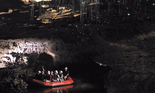 Cụm hang động cổ đại Waitomo tại New Zealand có trần hang được thắp sáng gởi hàng nghìn con đom đóm rất nhỏ. Ảnh: Spellbound Glowworm Cave Tours.