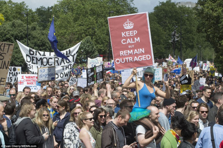 Những người biểu tình mang theo bảng hiệu kêu gọi Anh ở lại EU. (ảnh: WENY.com).
