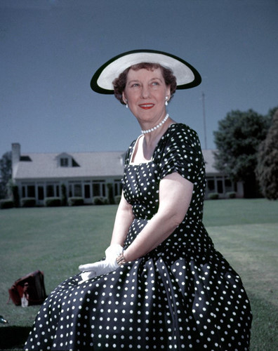 Đệ nhất phu nhân Mamie Eisenhower (1953-1961) mặc trang phục giống như một công chúa. Ở bà toát lên vẻ thanh lịch hoàn hảo.