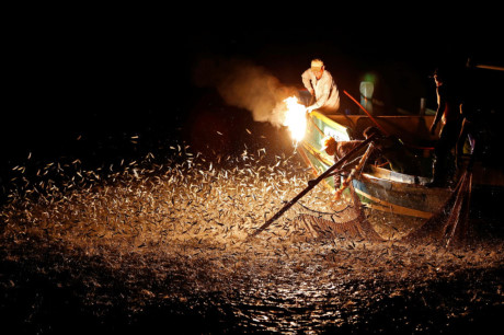 Những người đánh cá dùng ánh sáng thu hút đàn cá trên một chiếc thuyền câu truyền thống tại Đài Loan. (Nguồn: Sputnik)