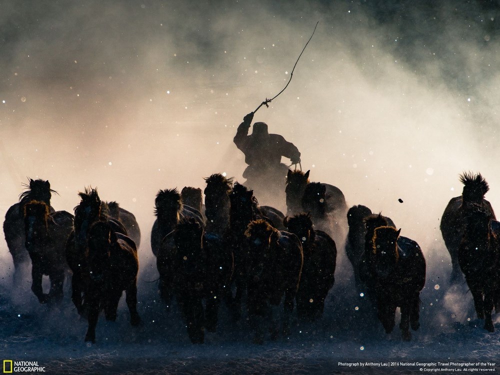 Ở chủ đề con người, giải nhất thuộc về nhiếp ảnh gia Winter Horseman với tác phẩm Kỵ sỹ mùa Đông. Bức ảnh chụp ở Mông Cổ.