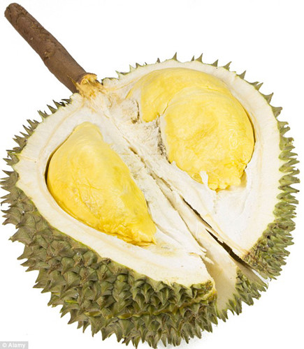 Trái sầu riêng của Việt Nam có tên trong danh sách những trái cây “lạ đời” của Dailymail bởi hình thù “quái dị” và mùi vị độc đáo