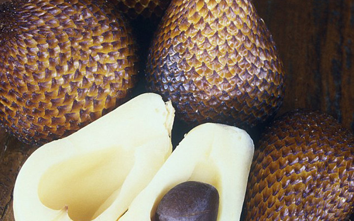 Quả da rắn phổ biến ở Indonesia