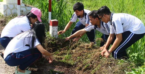 Học sinh tham gia làm cỏ bảo vệ môi trường.