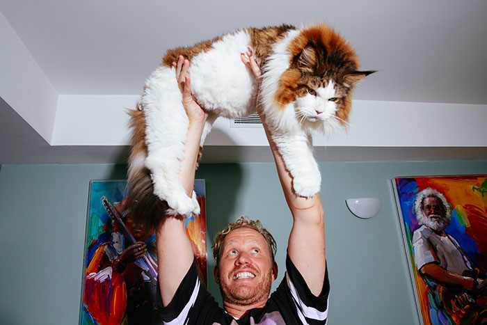 Chủ của Samson tự hào khẳng định, đây là chú mèo đáng mơ ước nhất trên đời. (ảnh: boredpanda/instargram).