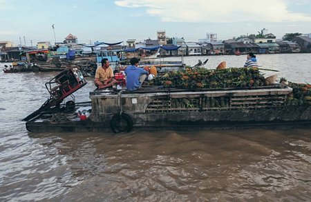 Nét độc đáo và đặc điểm chính của chợ nổi Cái Răng là buôn bán các loại trái cây, đặc sản của vùng đồng bằng sông Cửu Long. Chợ bắt đầu họp từ tờ mờ sáng, tấp nập thuyền ghe lớn nhỏ.