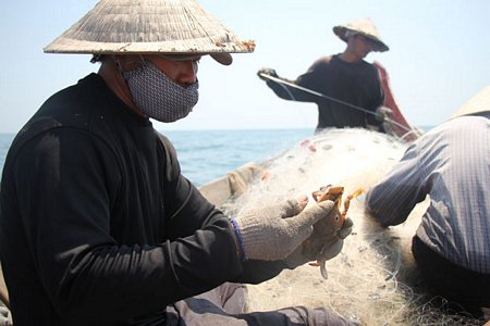 Ngư dân xã Phú Hải đánh bắt hải sản trên vùng biển cách bờ 5 hải lý.