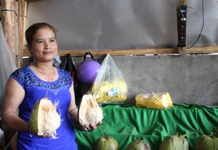 Hiện giá dừa sáp lên đến 160.000 đồng/quả nhưng vẫn khan hàng