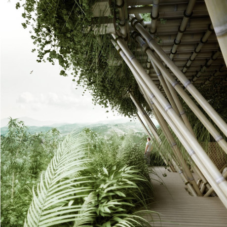 Thiết kế của ngôi nhà cho phép cây mọc tự nhiên. Bằng việc đan xen vào các loại cây và tre, nhà chung cư sẽ tạo thành một khu rừng tươi tốt quanh tòa nhà.