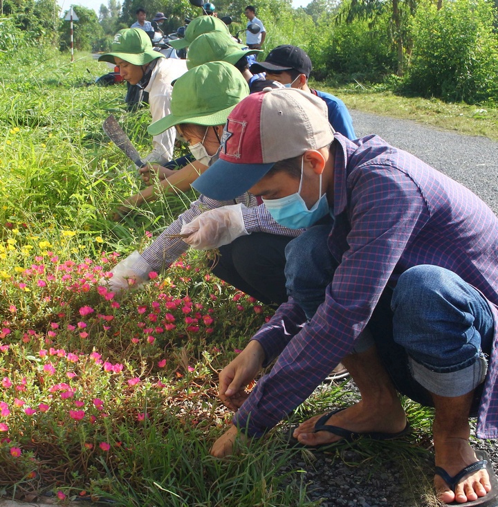 Tuổi trẻ tham gia làm cỏ, trồng hoa bảo vệ môi trường.