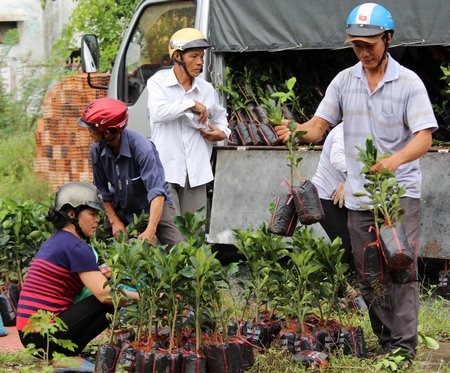 Được hỗ trợ của Công ty Giống Vĩnh Long, xã An Phước  chọn phát triển mô hình trồng bưởi da xanh.