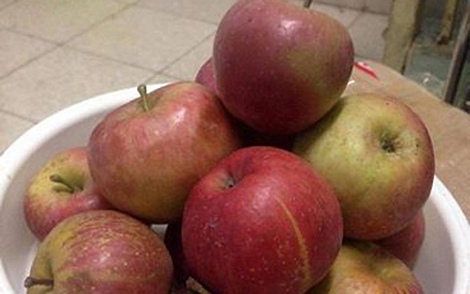 Mỗi kg táo được khoảng 20-22 quả
