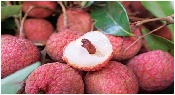 Vải thiều là loại quả không chỉ nổi tiếng khắp Việt Nam, loại quả ngọt thơm này còn được nhiều nước trên thế giới biết đến. Thế nên, ở Việt Nam, chúng ta không bao giờ phải nhập khẩu vải thiều, dân có thể ăn thoải mái. 