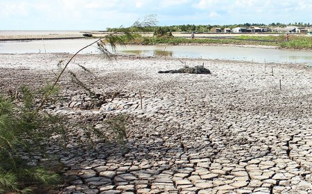  Quản lý tài nguyên nước đang là vấn đề lớn đối với an ninh lương thực ĐBSCL trong biến đổi khí hậu