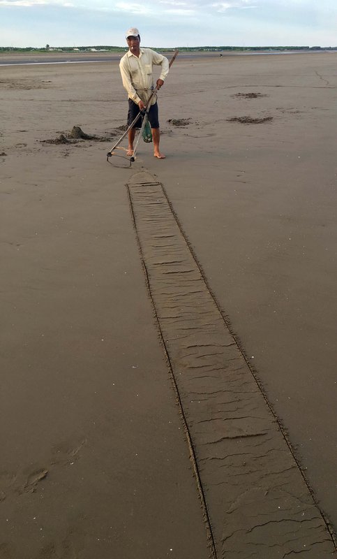 Một người dân kéo ngao trên bãi biển.