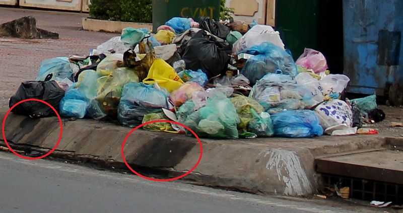 Cũng lắm khi rác bay khắp nơi, nước chảy ra từ những bịch rác bốc mùi hôi,…gây bức xúc cho người đi đường.