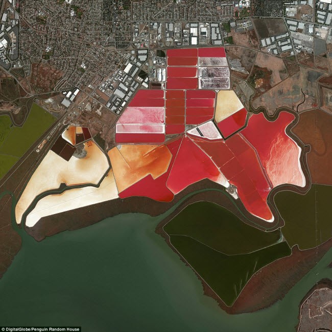 Những hồ nước biển bốc hơi để khai thác muối tại thành phố San Francisco, bang California, Mỹ.