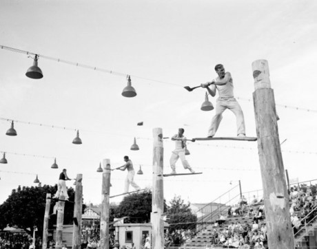 Một cuộc thi đốn củi ở Sydney, năm 1957.