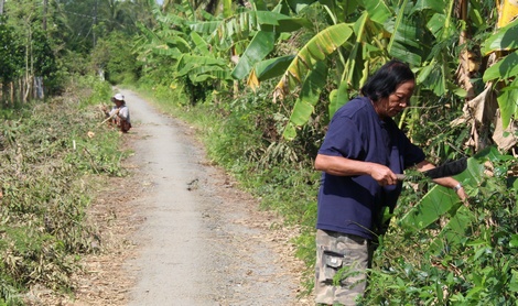Anh Nguyễn Kim Quân và người dân dọn sạch mặt bằng chuẩn bị làm đường liên ấp.