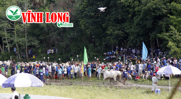 Hàng ngàn người đến xe Hội đua bò huyện Tri Tôn, trong đó có rất nhiều người ở phương xa.