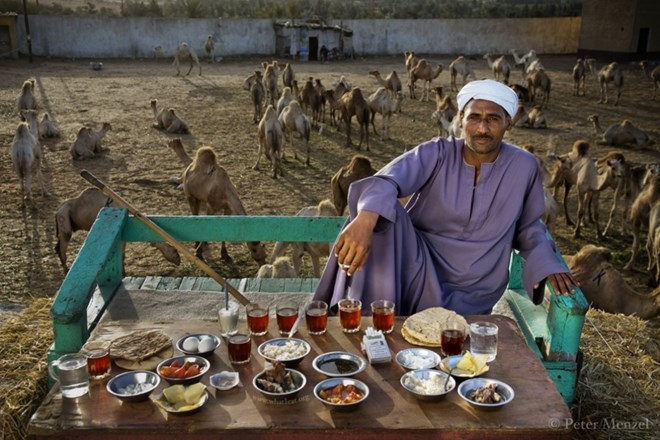 Saleh Abdul Fadlallah, một thương nhân bán lạc đà ở Cairo (Ai Cập). Ông phải ăn 3.200 calo một ngày. (Nguồn: brightside)