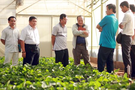 Hội Doanh nhân trẻ tỉnh Vĩnh Long tham quan mô hình sản xuất rau sạch tại TP Đà Lạt (Lâm Đồng).