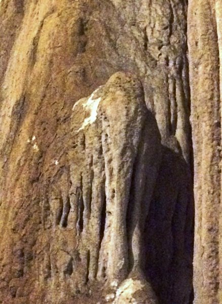 Hình một chú voi con nổi lên vách đá
